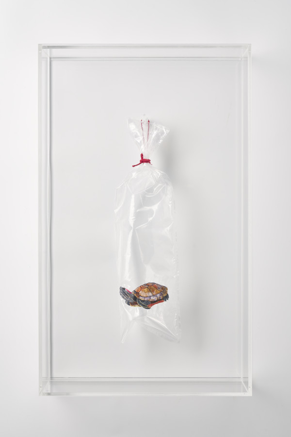 Pet Turtles #3 (Embroidery on Plastic Bag series) by Angel Hui